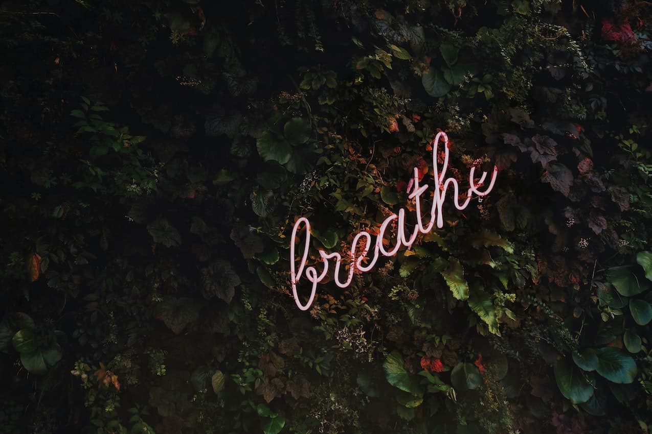 Photo by Madison Lavern on Unsplash (article on Buteyko breathing technique)