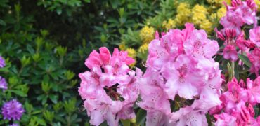 Photo by Andrew Hall on Unsplash